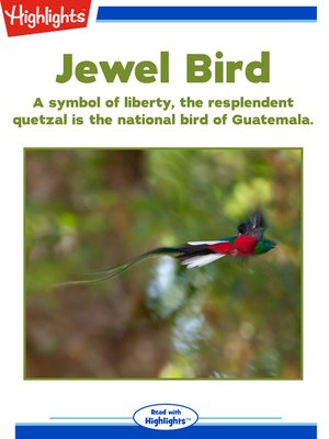 cover image of Jewel Bird